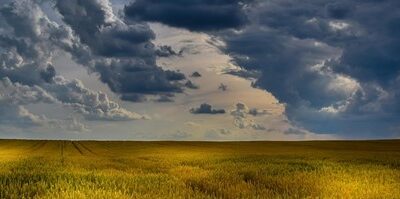 Le monde agricole peut-il avoir une stratégie de guerre économique ?