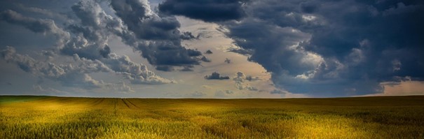 Le monde agricole peut-il avoir une stratégie de guerre économique ?