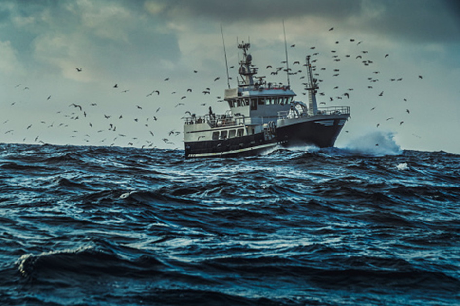 Des associations françaises en guerre contre la pêche néerlandaise