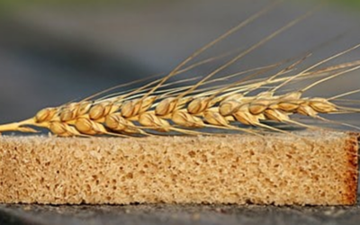 L’importance stratégique du blé